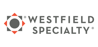 WS_logo (1) WS_logo (1)